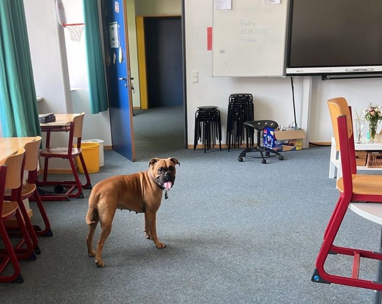 Mountainbike AG Ein Radfahrer absolviert einen Übungsparcours, um seine Fahrtechnik zu verbessern.